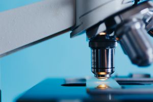 Extrem stabile Industriechemikalien doch biologisch abbaubar